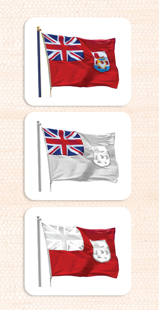 Parts of the Flag Montessori Vocabulary Cards Maitri Learning