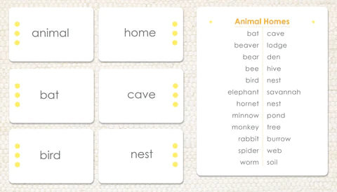 Control Word List Control Charts for Word Study?
