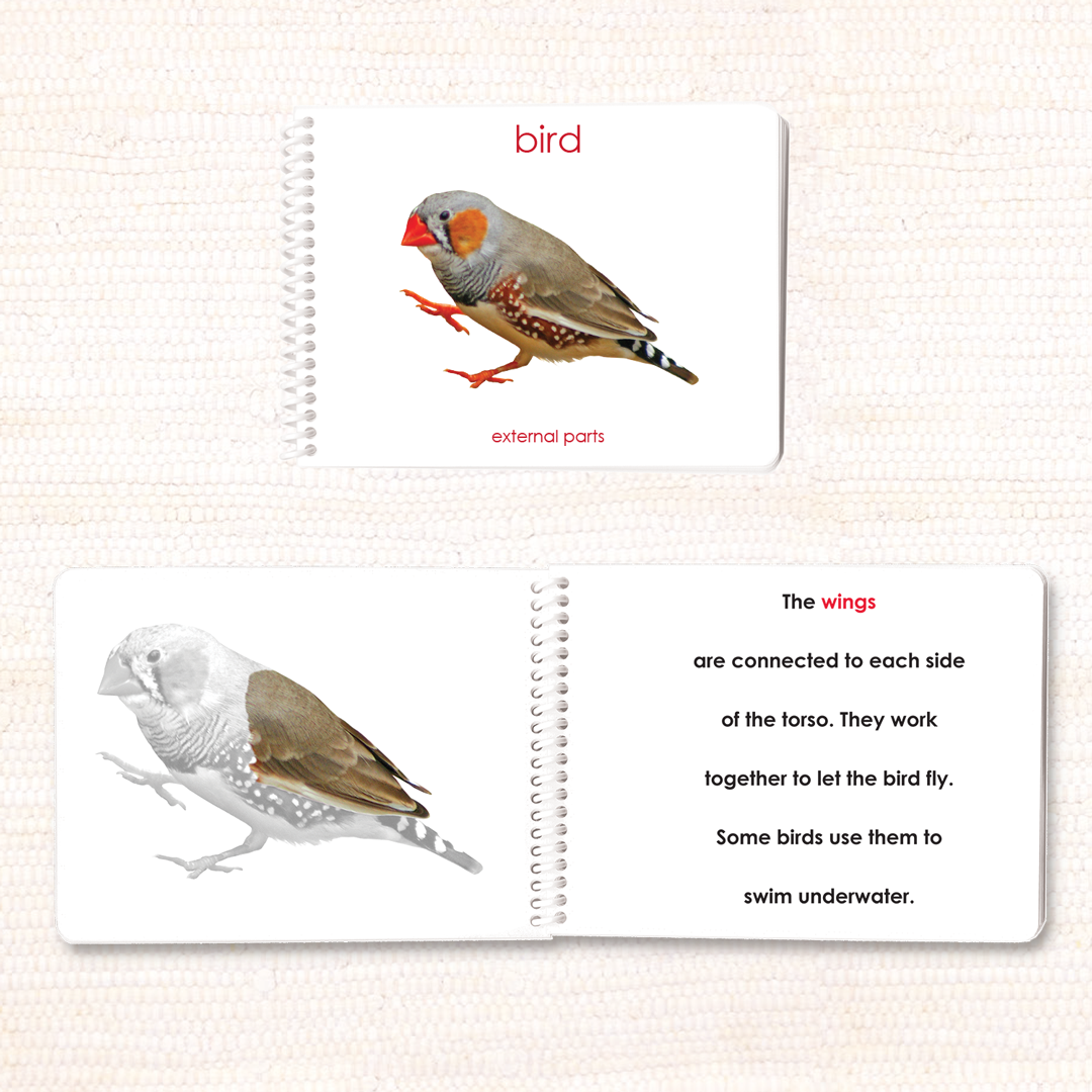 Parts of the Bird Book