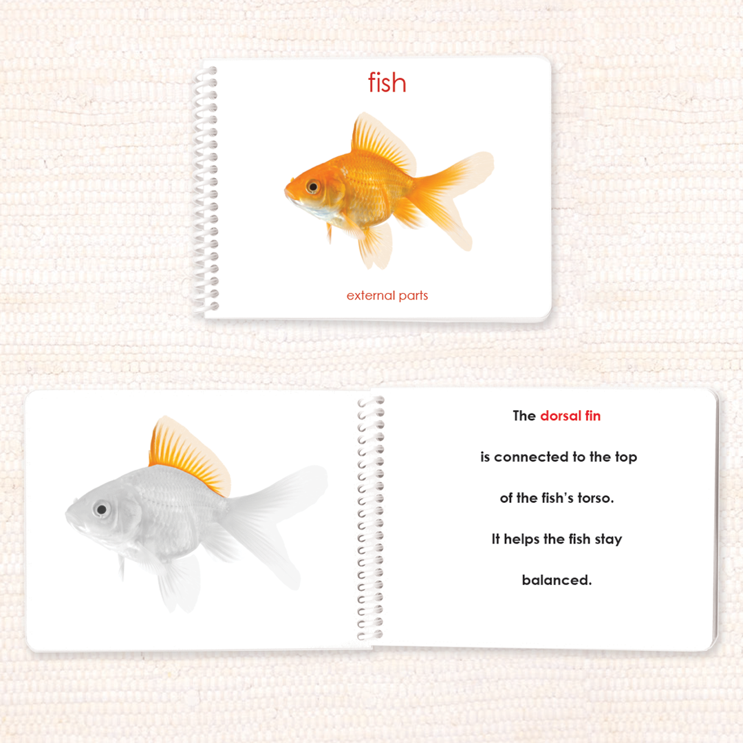 Parts of the Fish Book