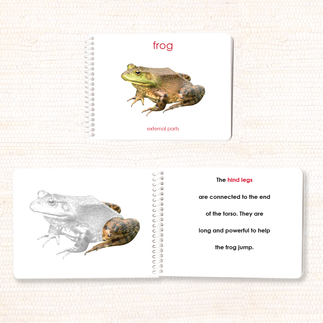 Parts of the Frog Book