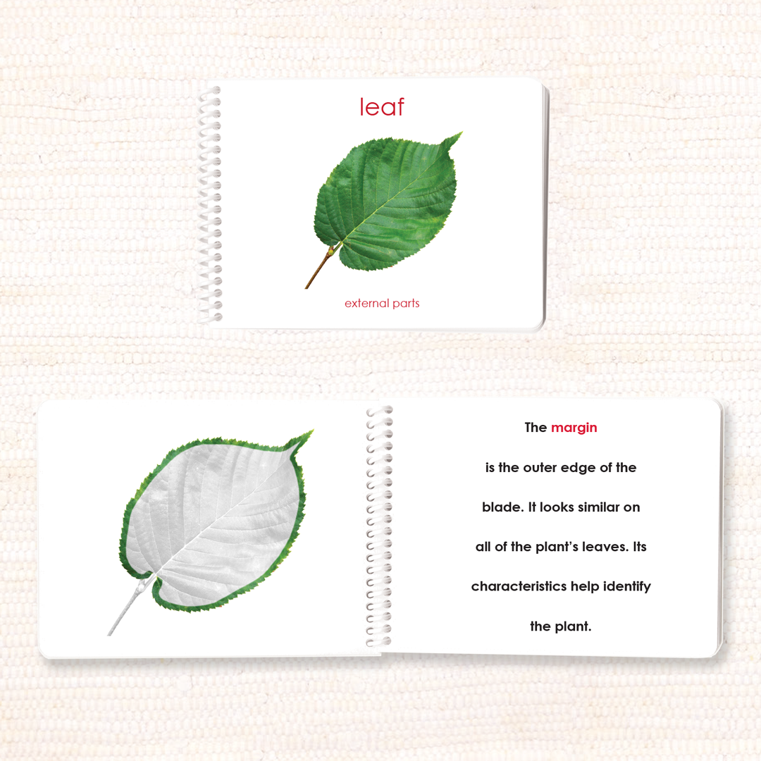 Parts of the Leaf Book