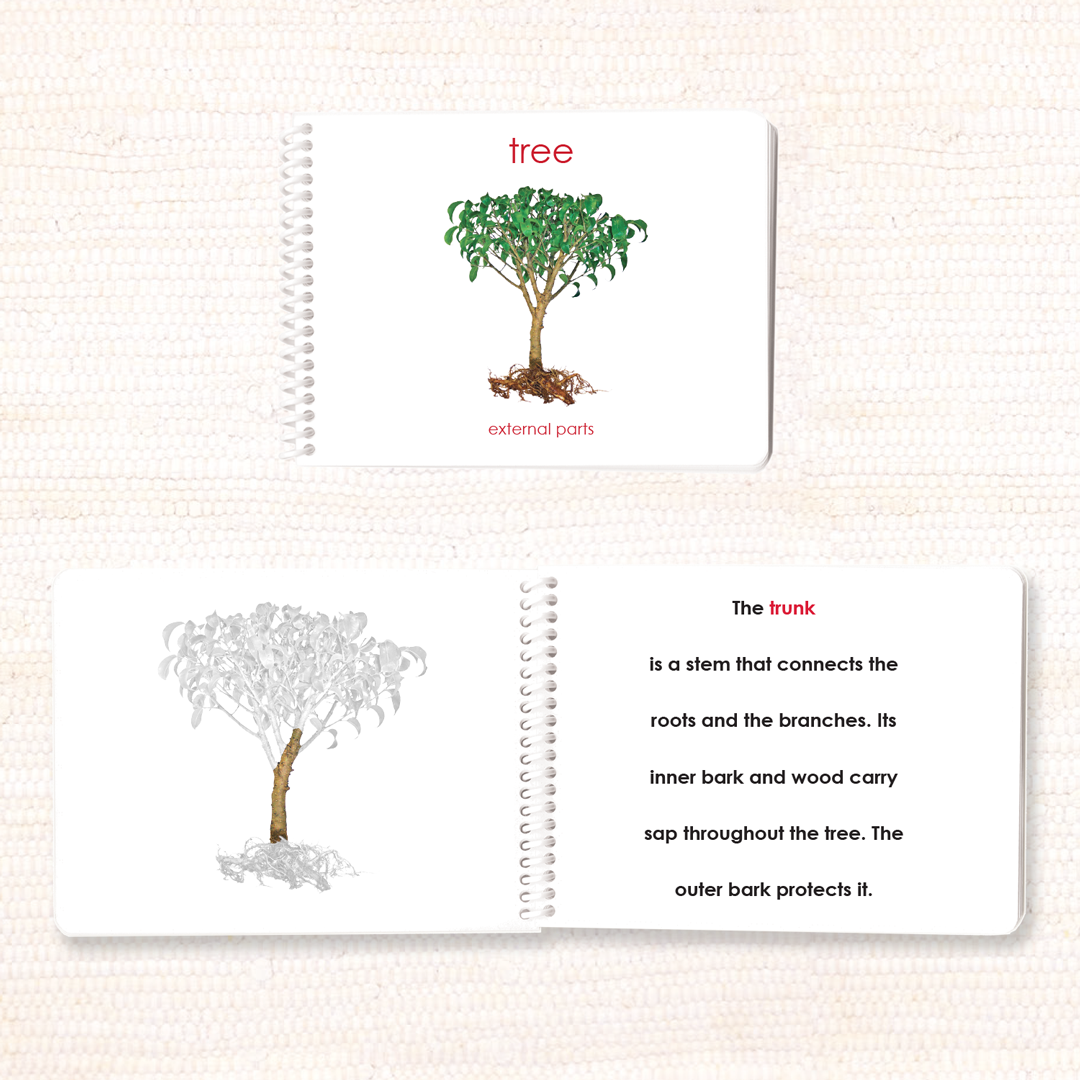 Parts of the Tree Book