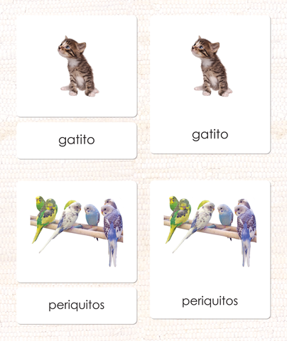 Imperfect Spanish Pets 3-Part Cards