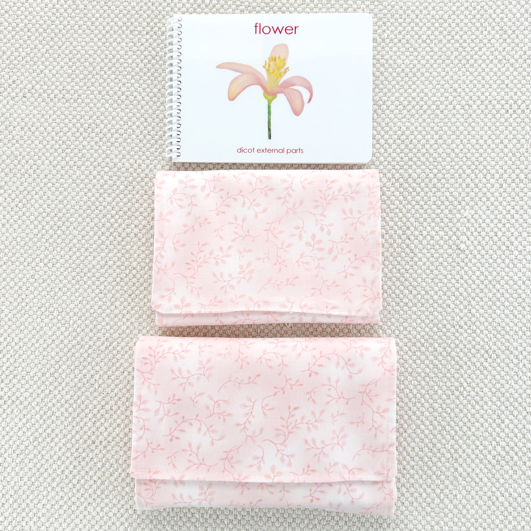 Parts of the Flower (Dicot) Book & Card Set