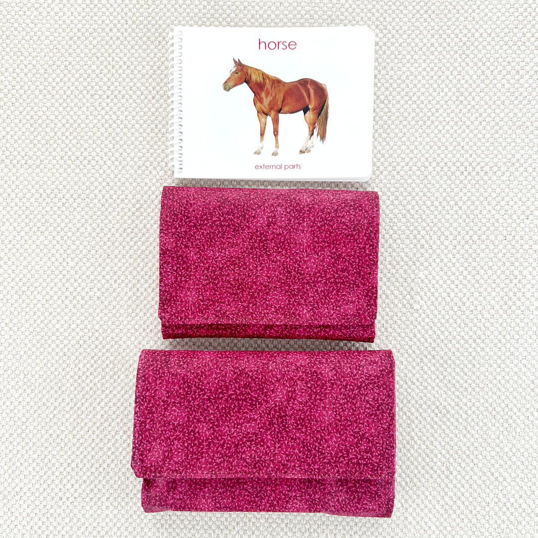 Parts of the Horse Book & Card Set