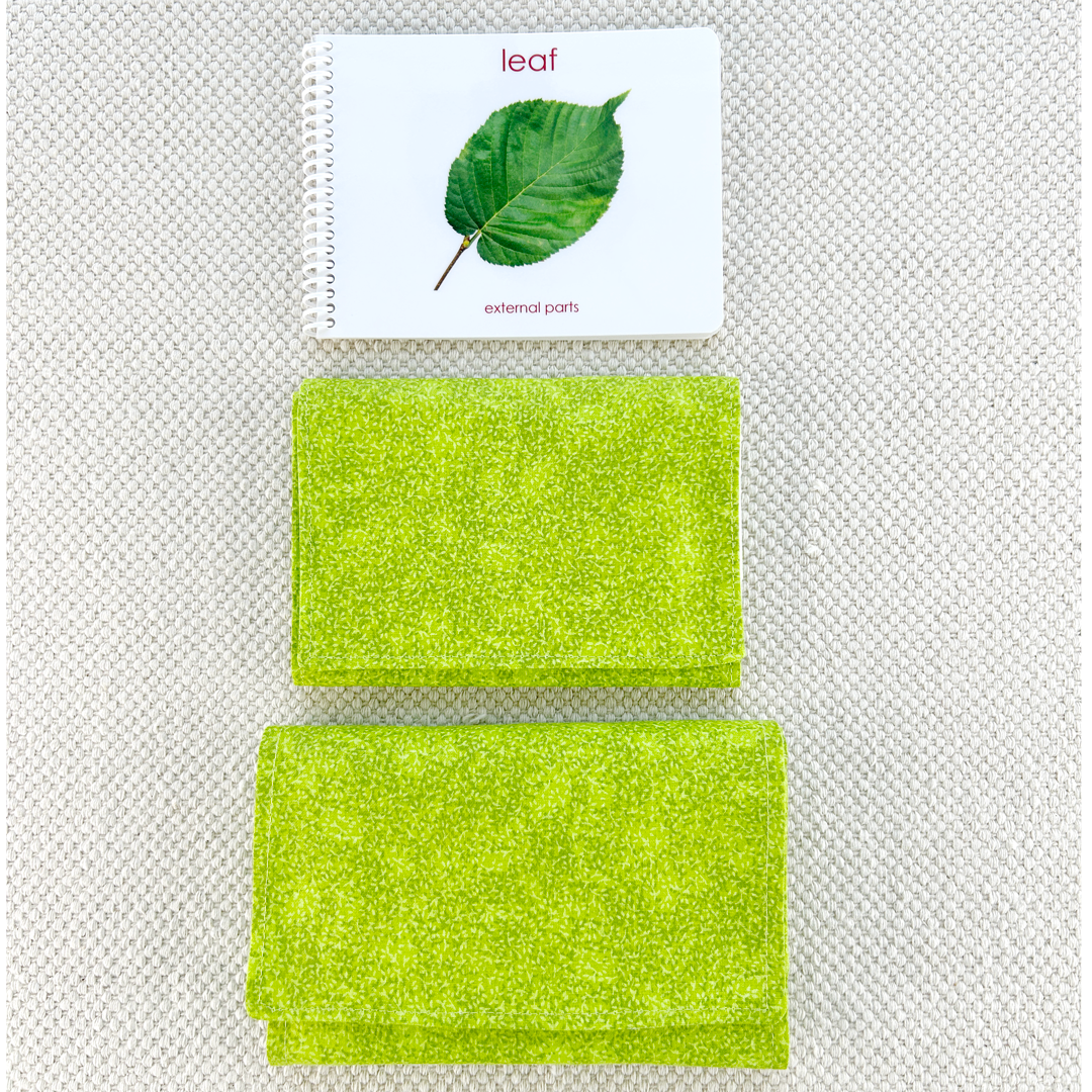 Parts of the Leaf Book & Card Set