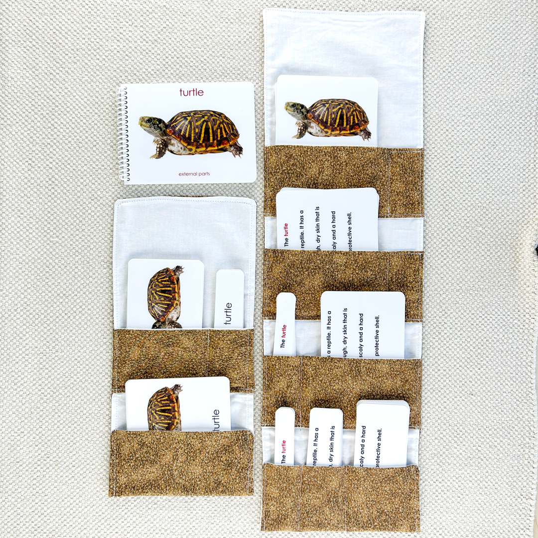 Parts of the Turtle Book & Card Set