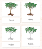 Imperfect Spanish Parts of the Tree 3-Part Cards