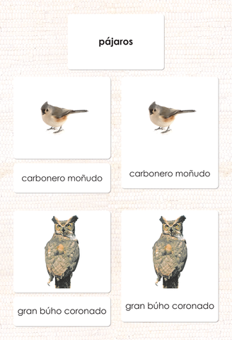 Imperfect Spanish Birds 3-Part Cards