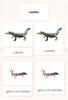 imperfect Spanish Reptiles 3-Part Cards