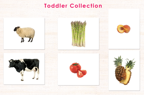 Toddler Collection