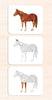 Imperfect Parts of the Horse Vocabulary