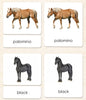 Imperfect Horses 3-Part Reading - Maitri Learning