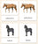 Horses (Coat Colors) 3-Part Reading - Maitri Learning