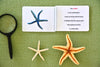 "Parts of" the Sea Star Book - Maitri Learning