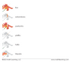 Spanish Parts of the Flower (Monocot) 3-Part Cards