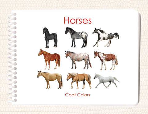 Horses: Coat Colors Book - Maitri Learning
