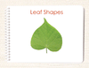 Leaf Shapes Book & Card Set