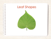 Leaf Shapes (Botany Cabinet) Book - Maitri Learning