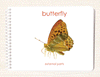 Parts of the Butterfly Book & Card Set
