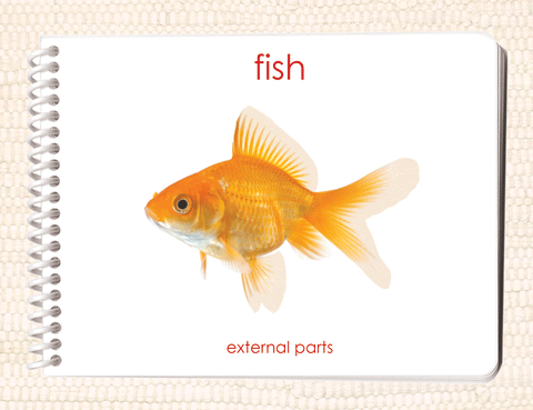 "Parts of" the Fish Book - Maitri Learning