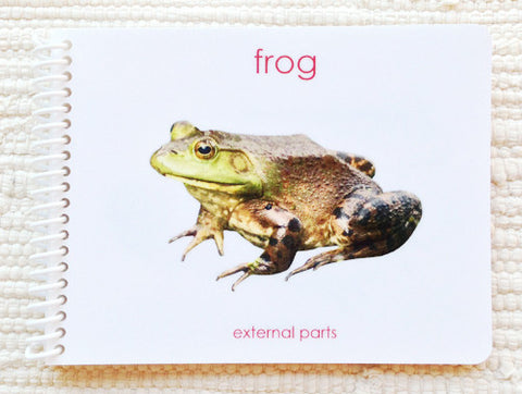 Imperfect "Parts of" the Frog Book - Maitri Learning