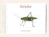 Parts of the Katydid Book & Card Set