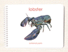 Parts of the Lobster Book & Card Set