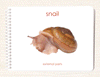 Parts of the Snail Book & Card Set