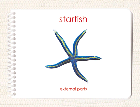 "Parts of" the Sea Star Book - Maitri Learning