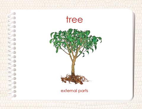"Parts of" the Tree Book - Maitri Learning