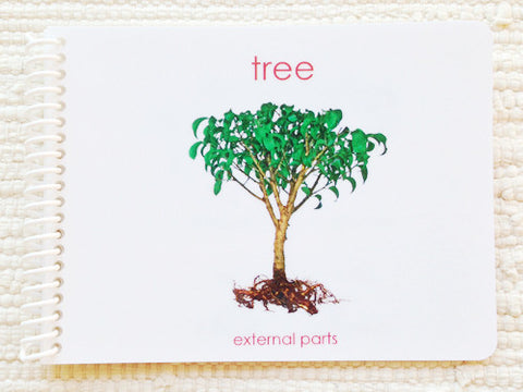 Imperfect: "Parts of" the Tree Book - Maitri Learning