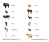 Farm Animals (Adult) 3-Part Reading - Maitri Learning