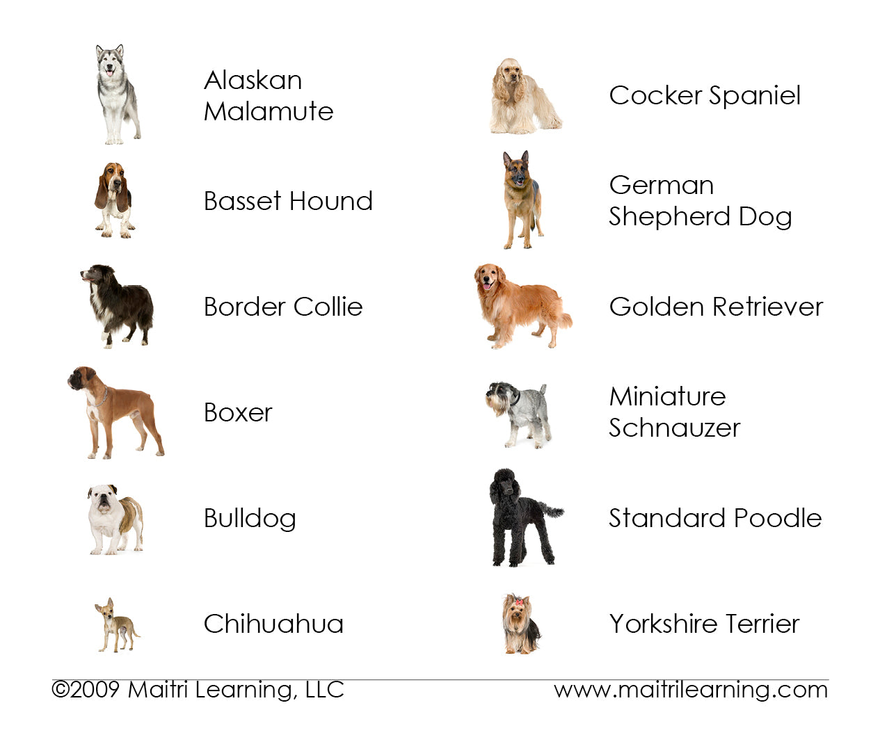Dogs Learn Words Montessori Vocabulary Cards – Maitri Learning