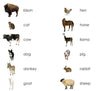 Farm Animal Toddler Cards - Maitri Learning
