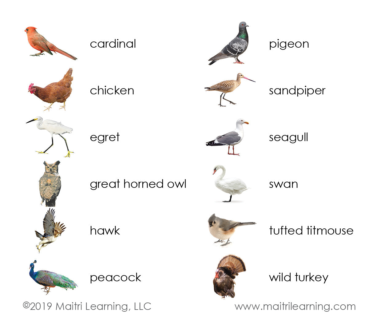 Imperfect Birds 3-Part Reading - Maitri Learning