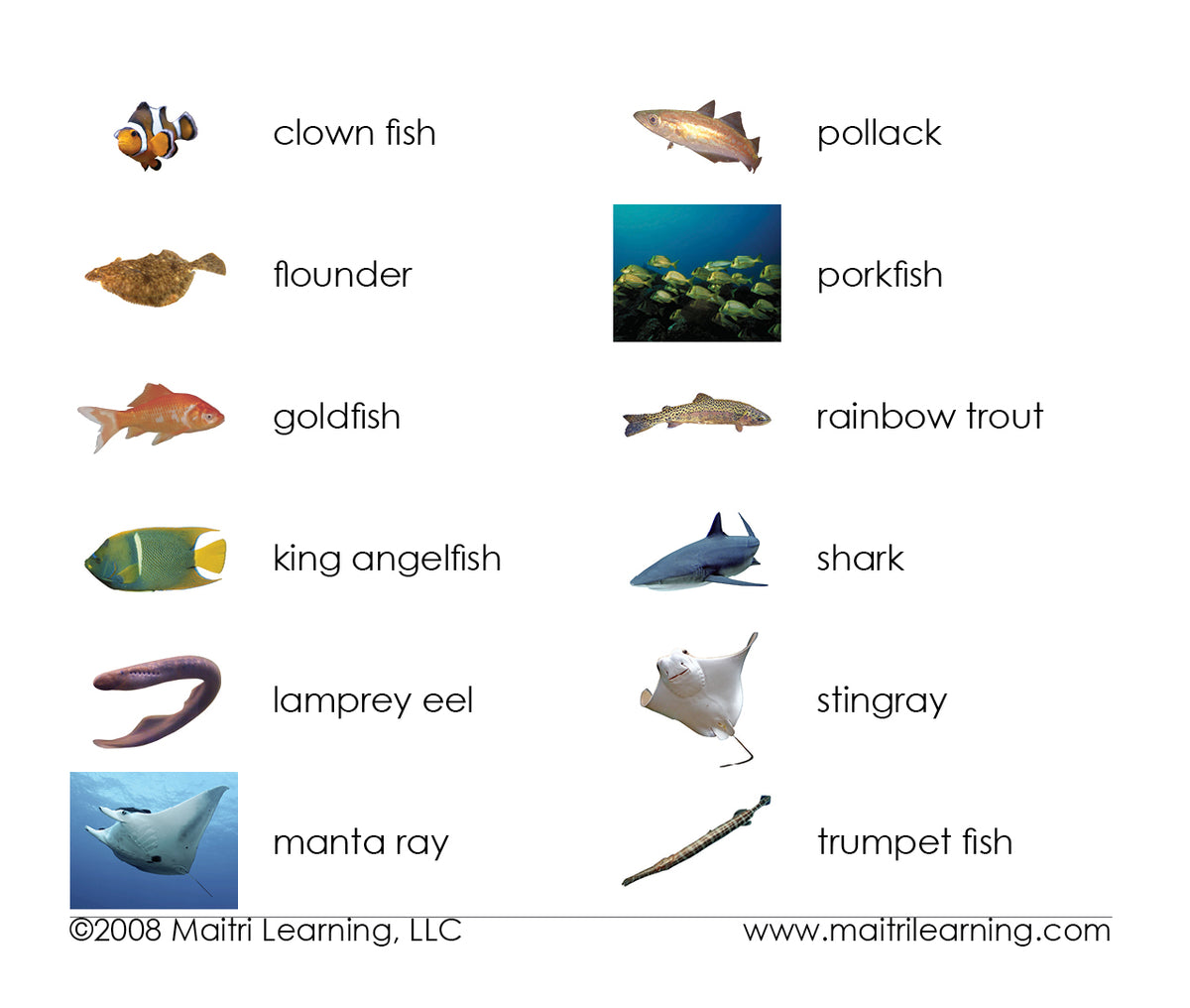 Fish Montessori Vocabulary Cards
