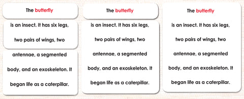 Parts of the Butterfly Definitions