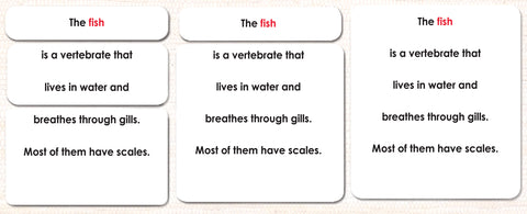 Parts of the Fish Definitions