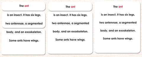 Parts of the Ant Definitions