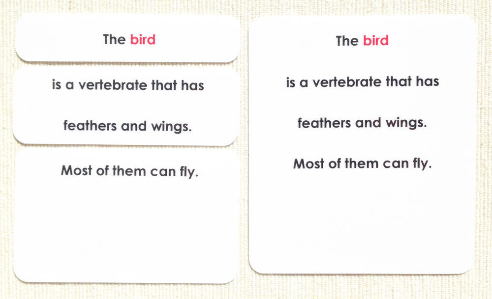 Montessori Bird Definition Cards – Maitri Learning