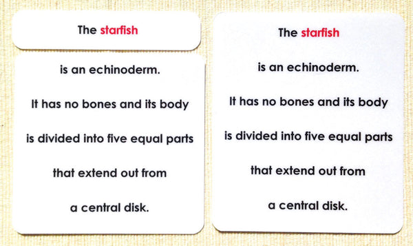 Montessori Starfish Definition Cards