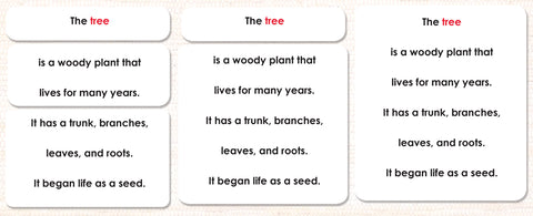 Parts of the Tree Definitions