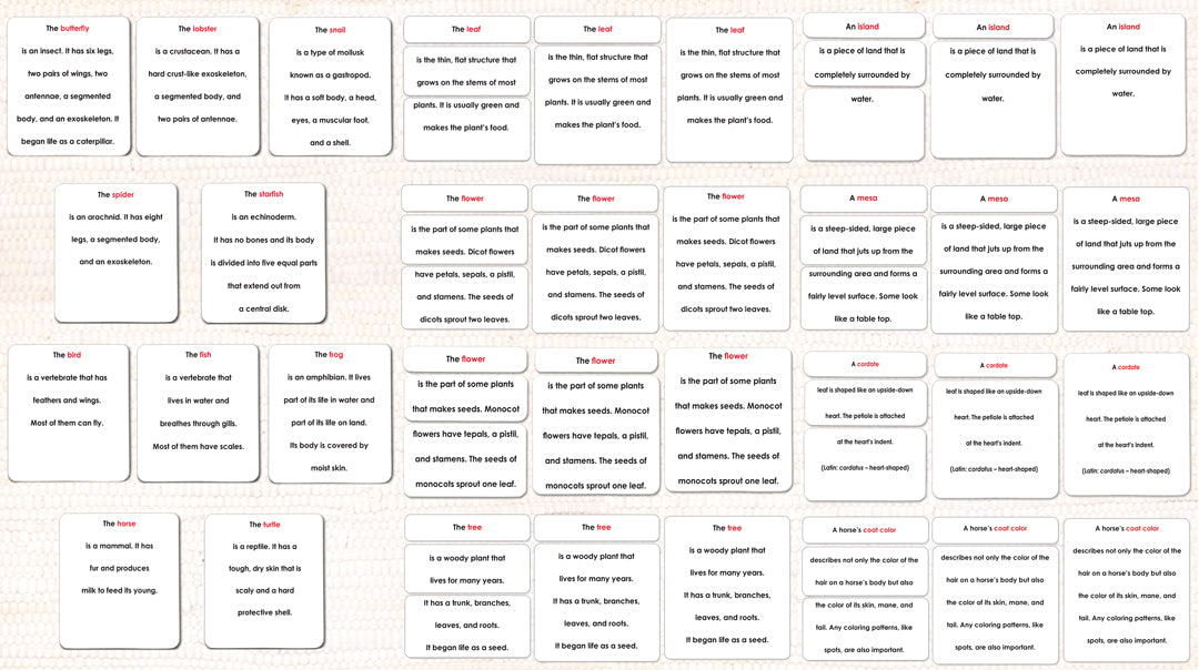 Program Defenition Card Montessori Definition Cards