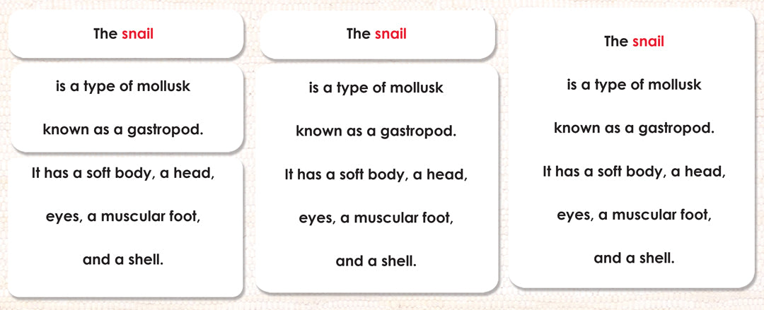 Montessori Snail Definition Cards