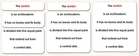 Parts of the Sea Star Definitions