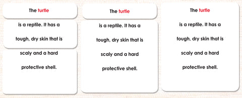 Imperfect Parts of the Turtle Definitions