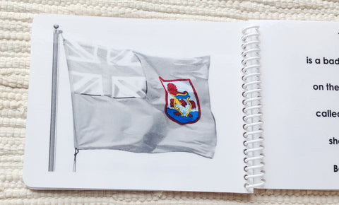 Imperfect "Parts of" the Flag Book - Maitri Learning