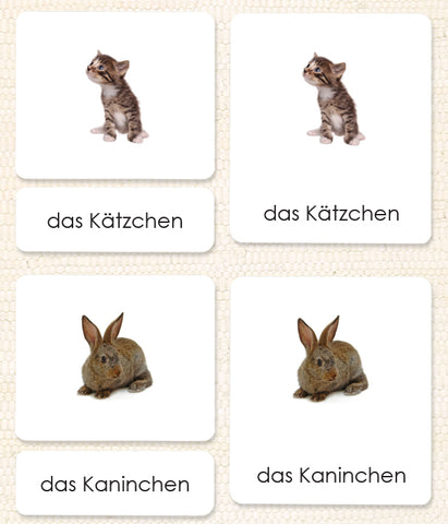 German Pets 3-Part Reading
